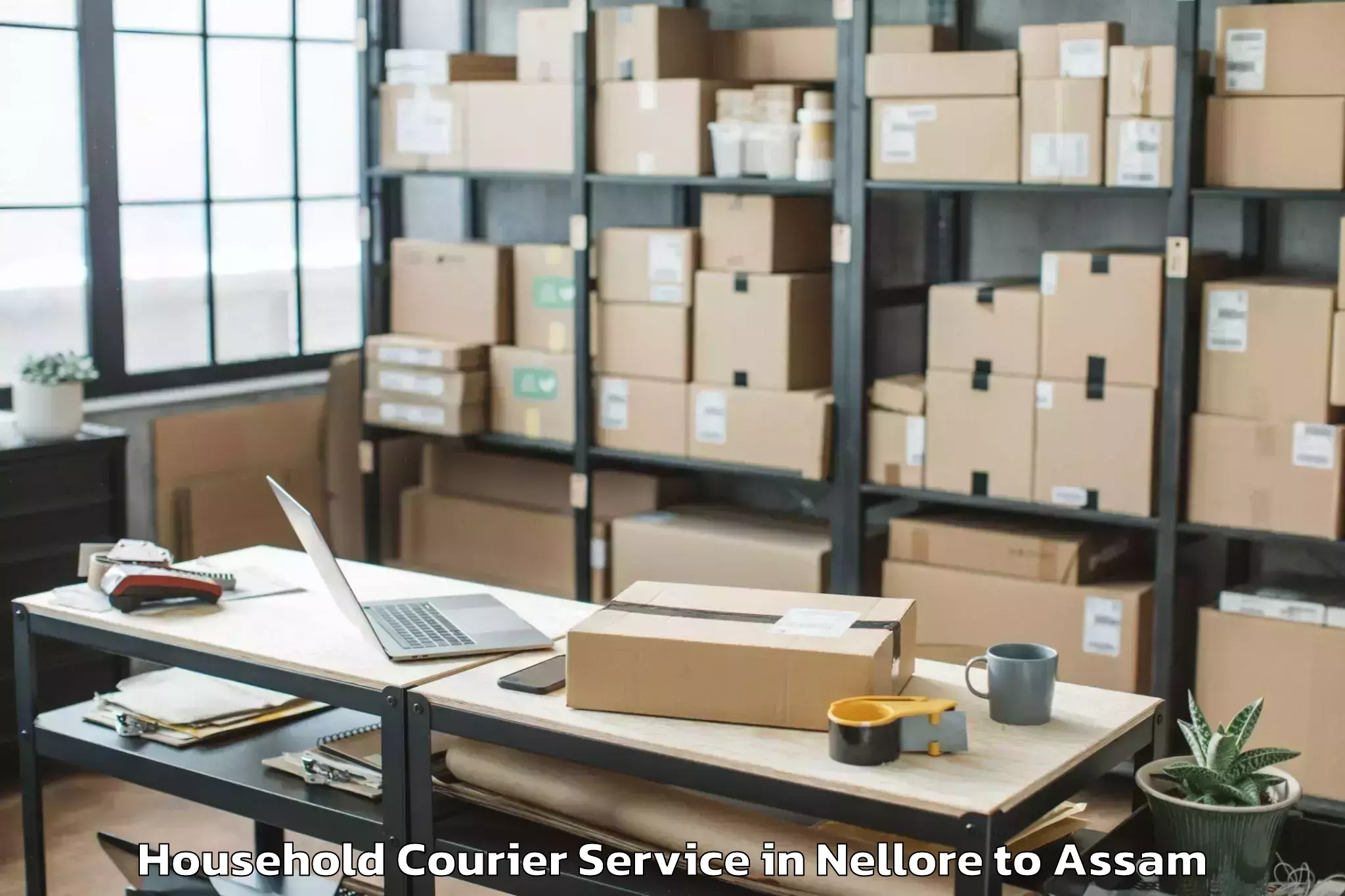 Book Nellore to Lumding Household Courier Online